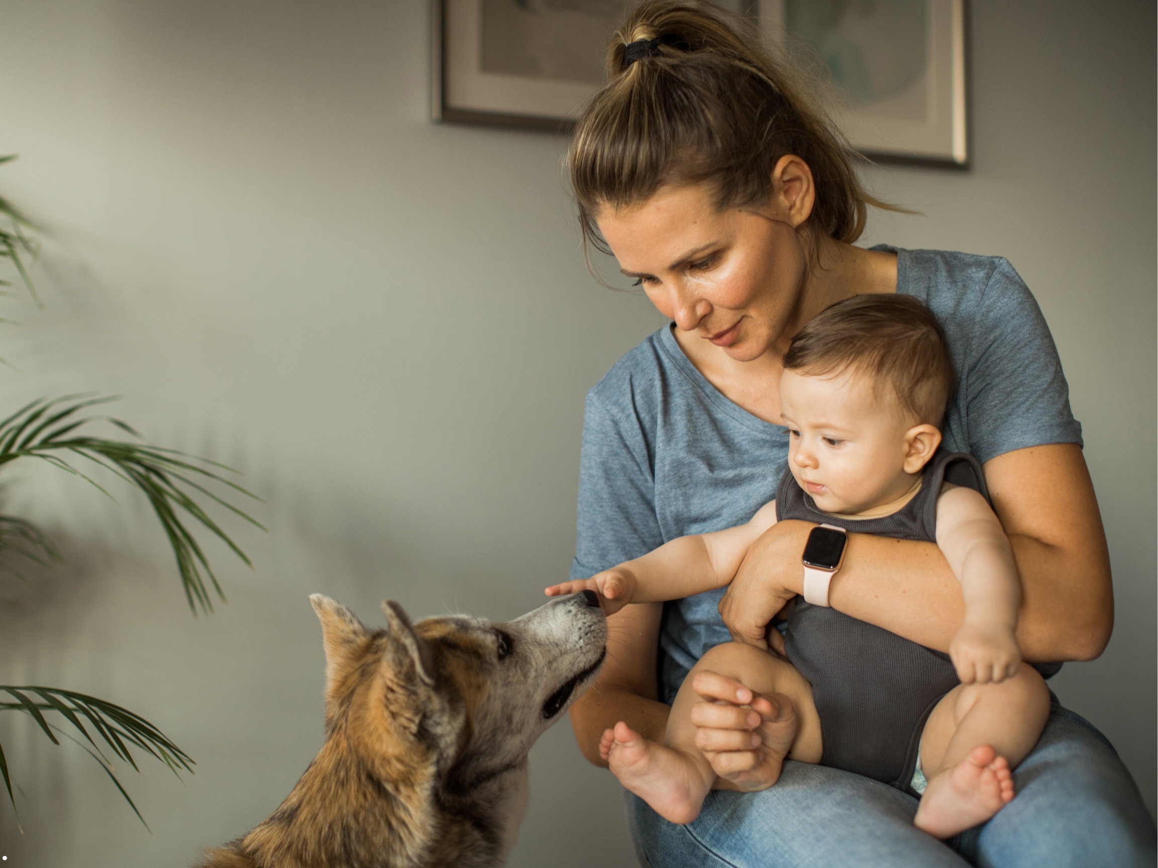 Why So Many New Moms Are Getting Rid of Their Dogs After Having a Baby